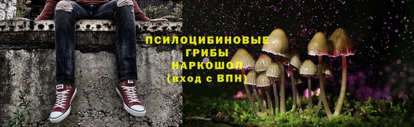 ALPHA-PVP Верхний Тагил