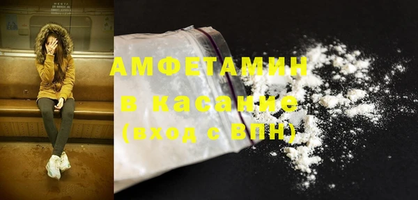 индика Тайга