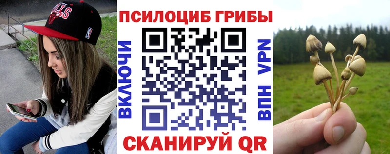 Псилоцибиновые грибы GOLDEN TEACHER  Каменск-Уральский 